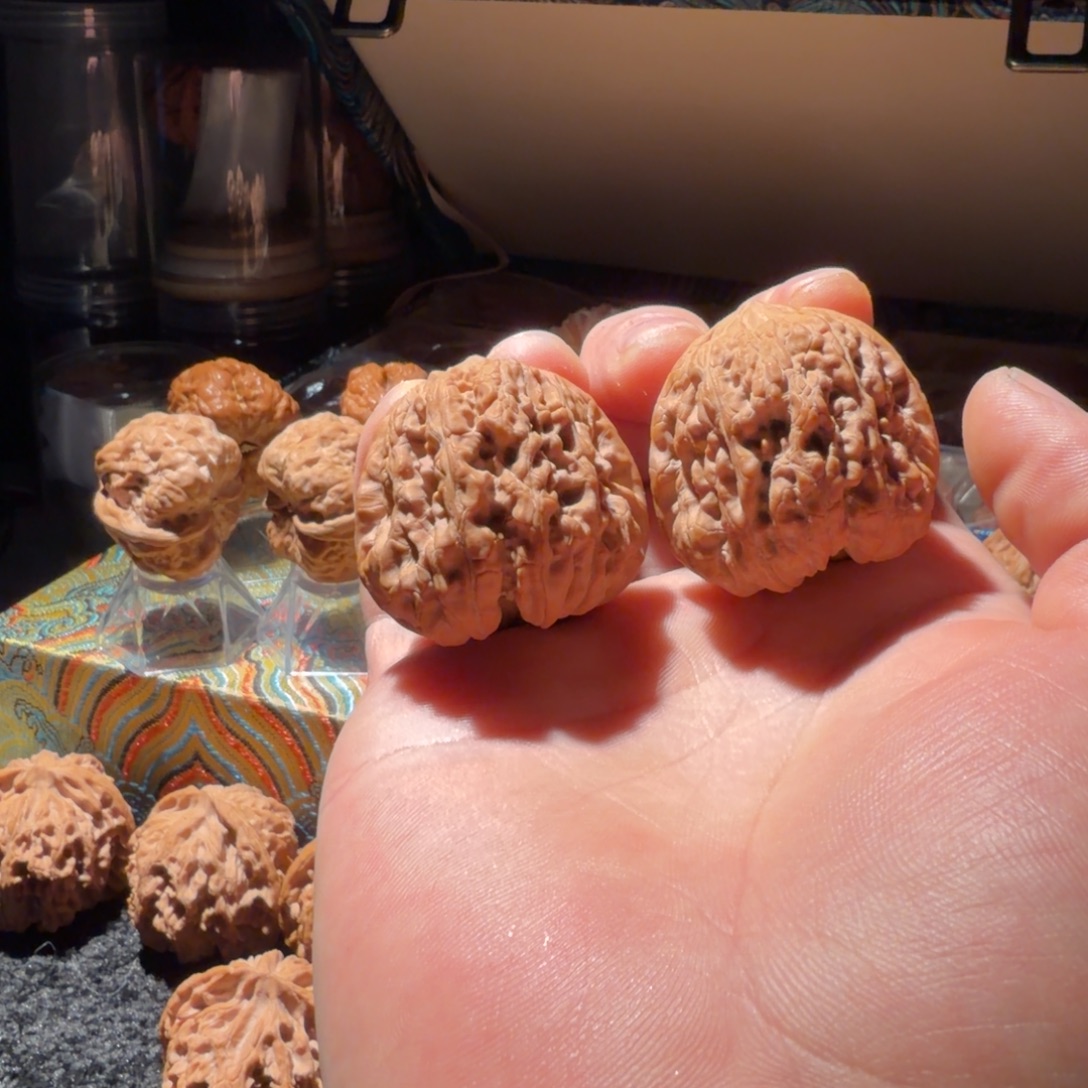 哈***哟文玩核桃吊坠39全品平谷凹底2537731