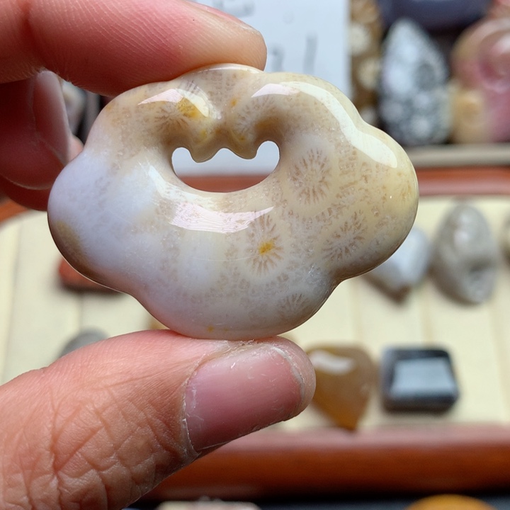 硅化珊瑚（珊瑚玉）颈饰未镶嵌