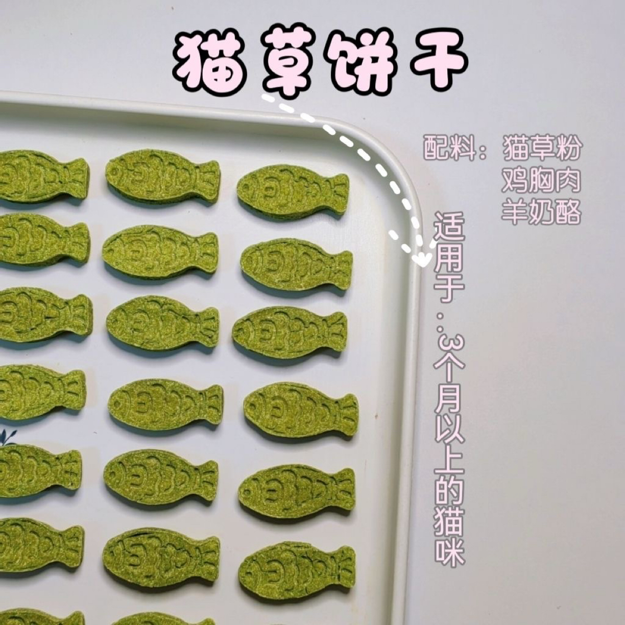 猫咪排毛猫草小鱼奶酪饼干磨牙洁齿温和排