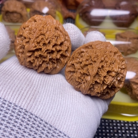 文玩核桃把件漫天星 45