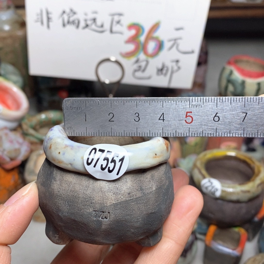 花盆拍3个送一个小礼物