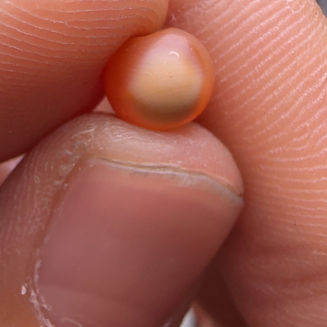 玛瑙/玉髓手链未镶嵌