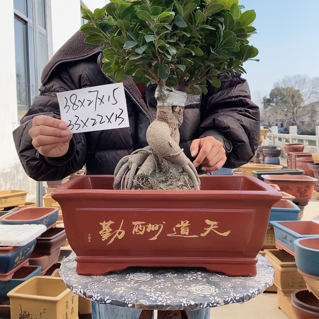 紫砂花盆紫砂花盆
