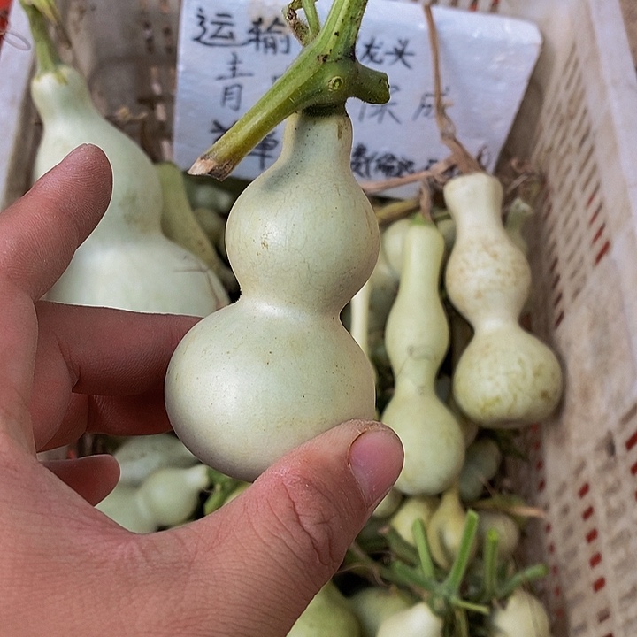 青**白哈哈哈哈哈哈哈哈哈