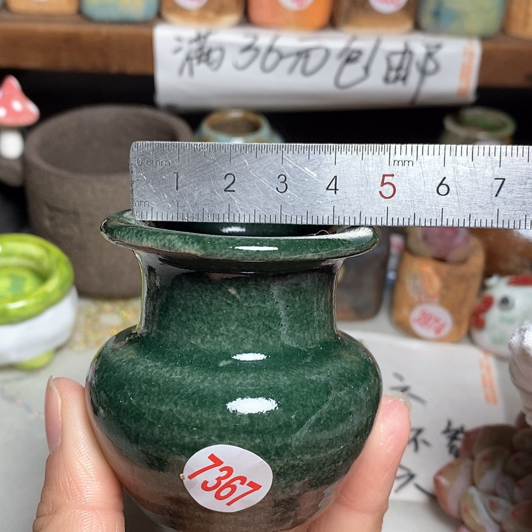红陶拍5送一个小