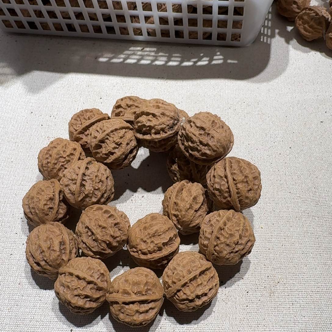 核桃手串/手链57号边26肚25高25