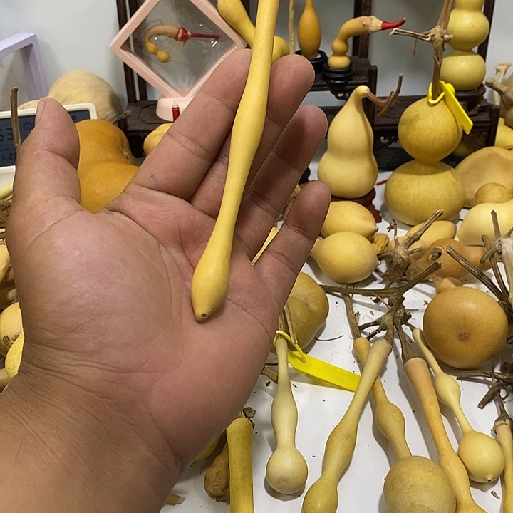 莱***卡手把精品文玩葫芦