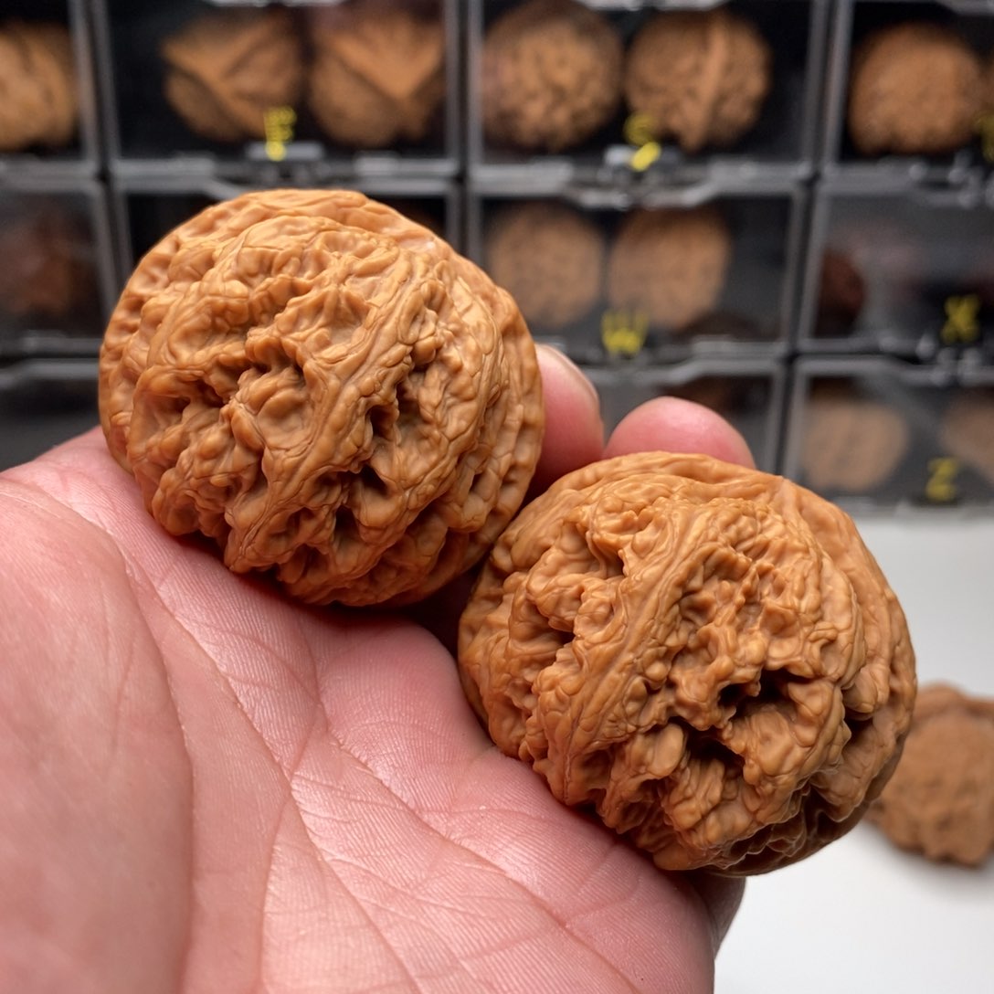 48尺寸全品大粗筋球筋