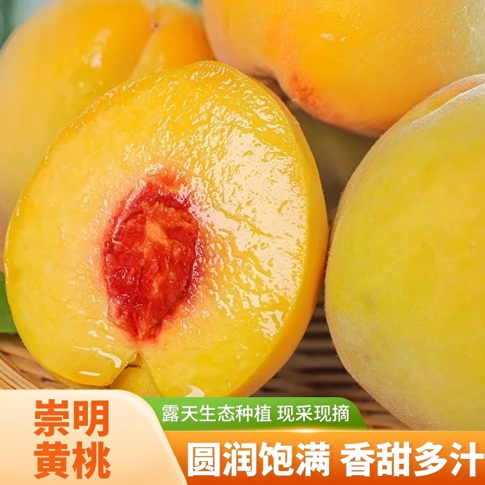 崇明锦绣黄桃 | 12枚装精品大果礼盒包装