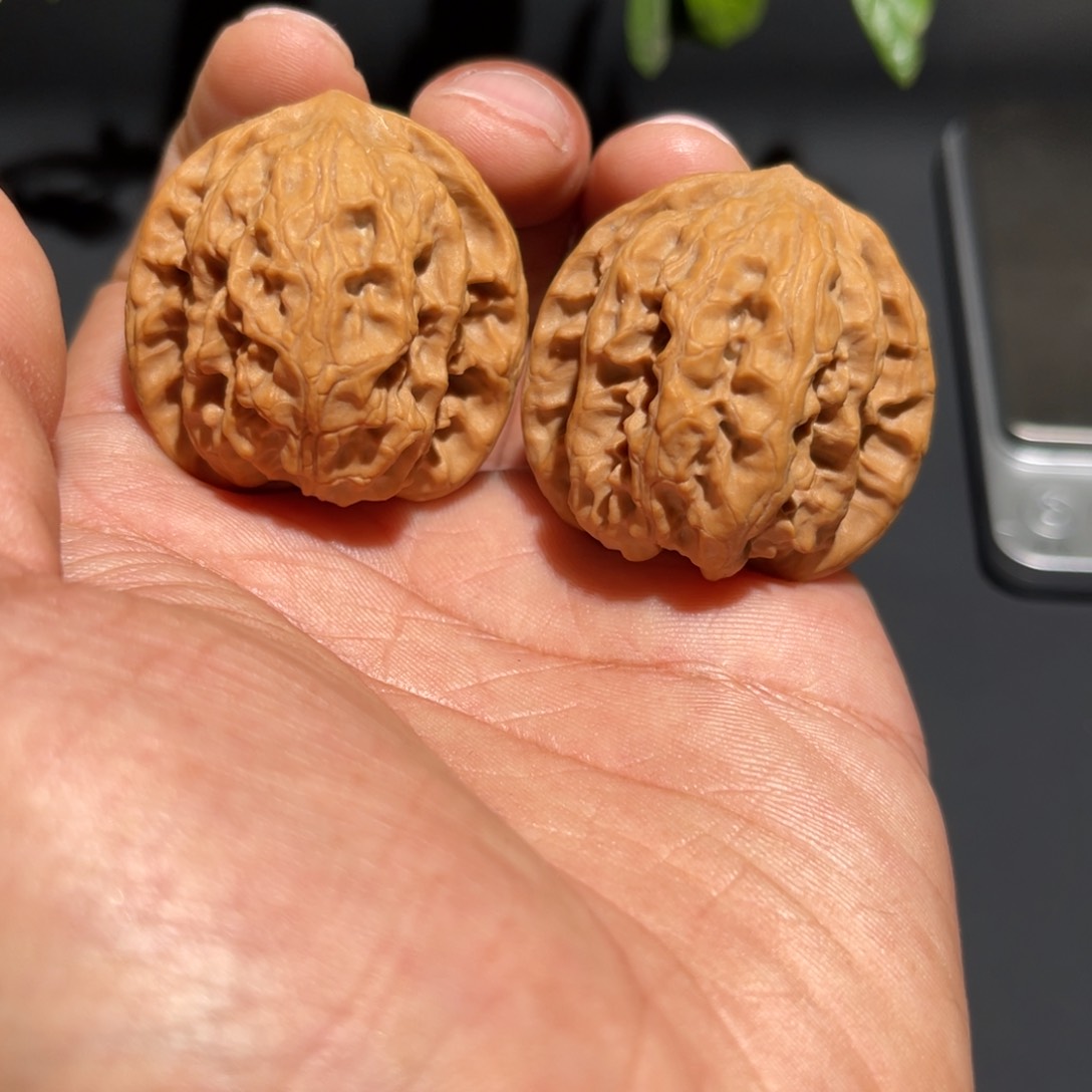 文玩核桃把件山地狼