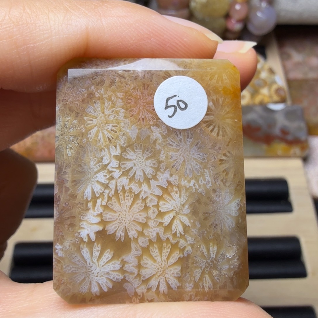 硅化玉未镶嵌飘点彩的冰透花花