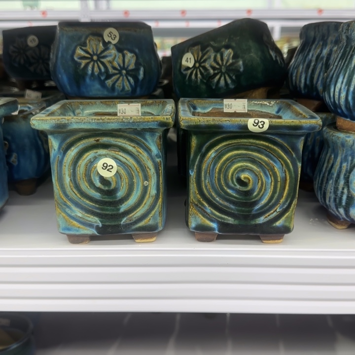 红陶田小姐多肉花盆