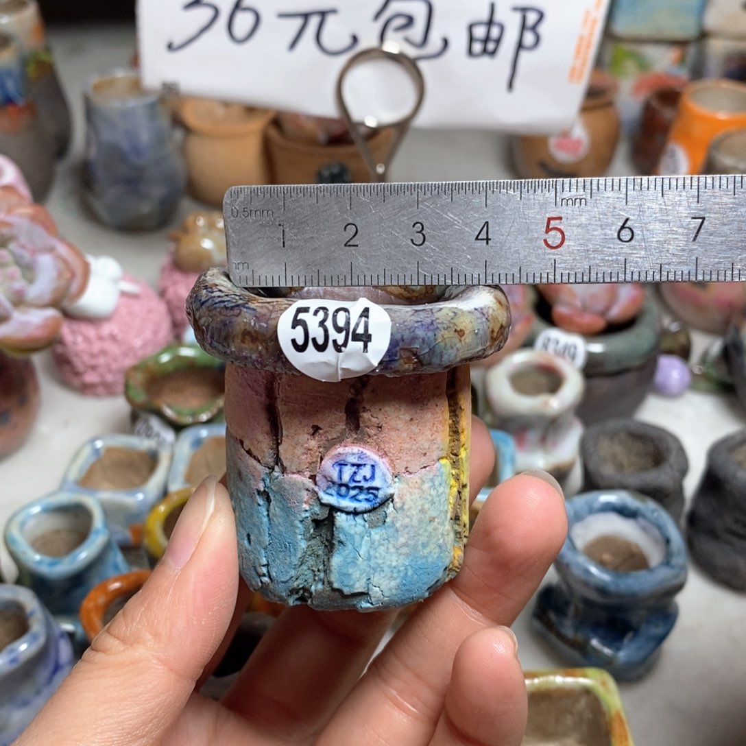 拍3送一个小礼物