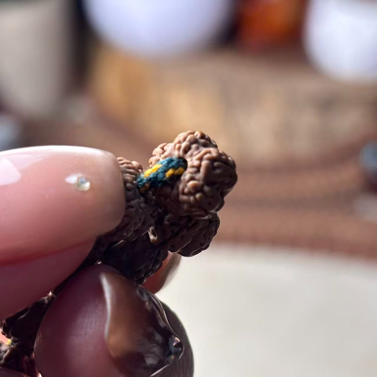 天绝梅花手持+礼盒发货