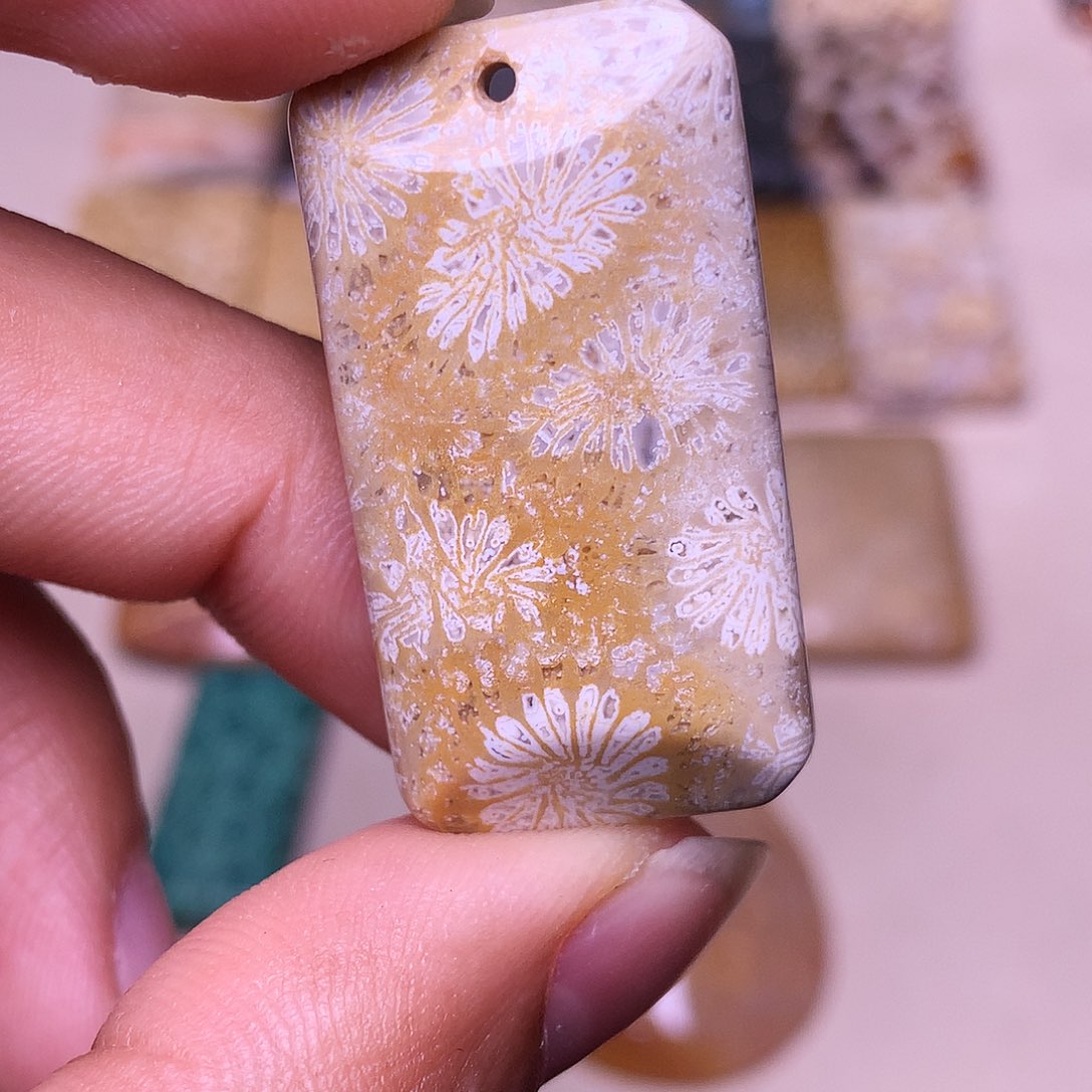 种***子硅化玉合金珊瑚玉