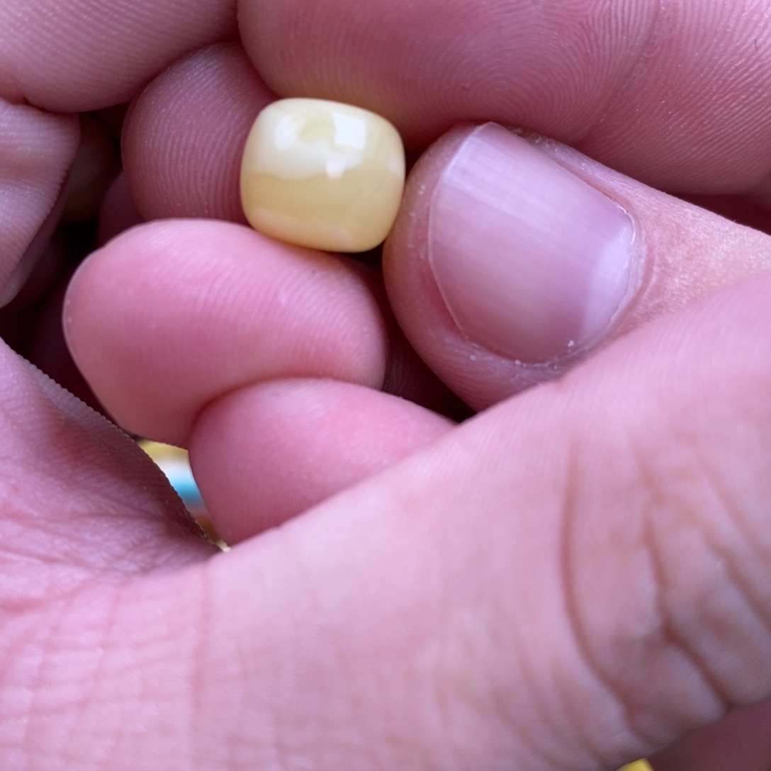 蜜蜡裸石未镶嵌Y****⁵