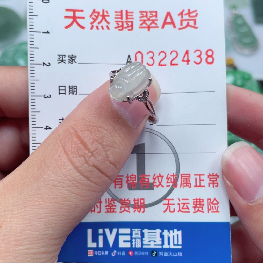 翡翠颈饰未镶嵌9988988988