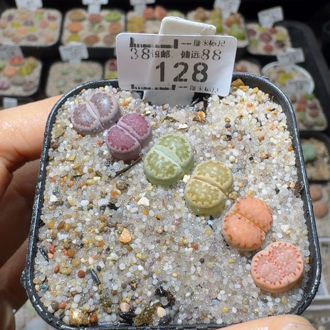 Sss精品系列便宜出128