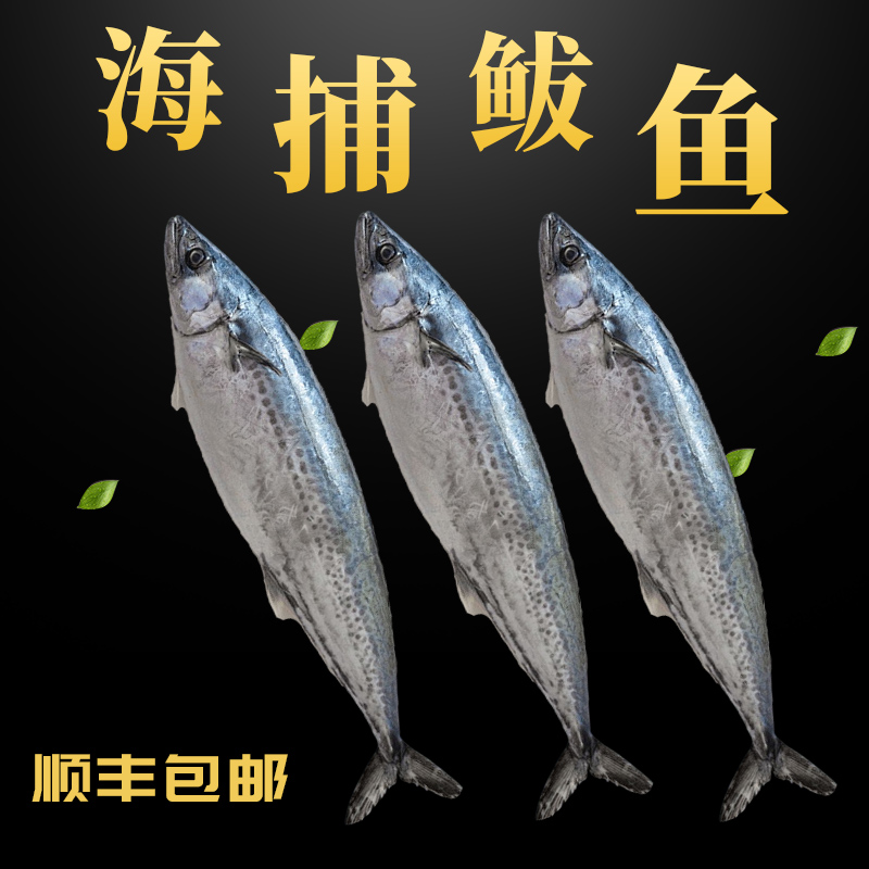 【顺丰包邮】特大号鲅鱼燕鲅鱼蓝点马鲛鱼新鲜野生海捕海鲜送礼年货