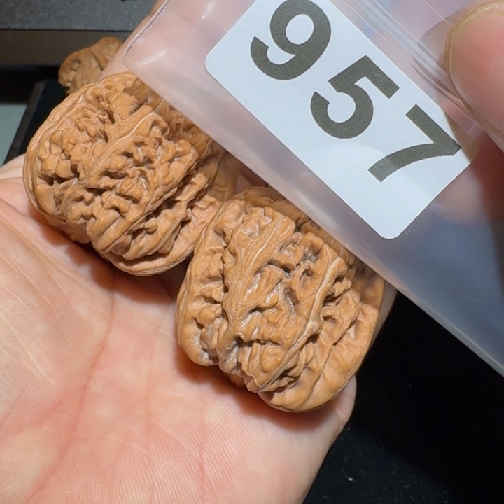 文玩核桃把件喝***瘾大粗筋