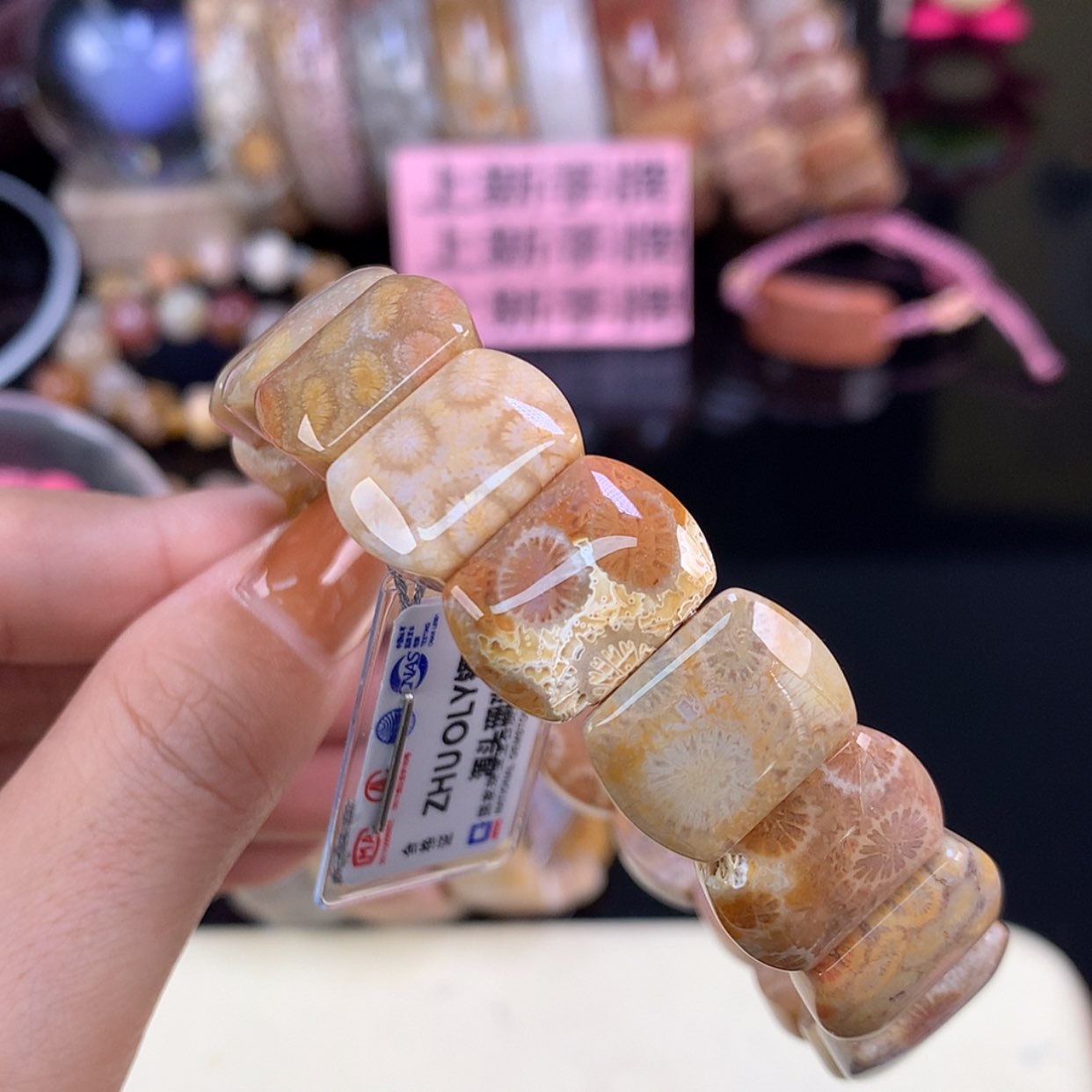 【闪购商品】颈饰未镶嵌硅化珊瑚（珊瑚玉）上新手牌（4号）