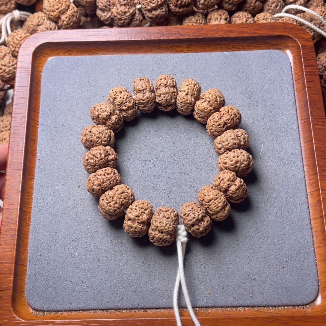 菩提籽类3号金刚菩提夹板21