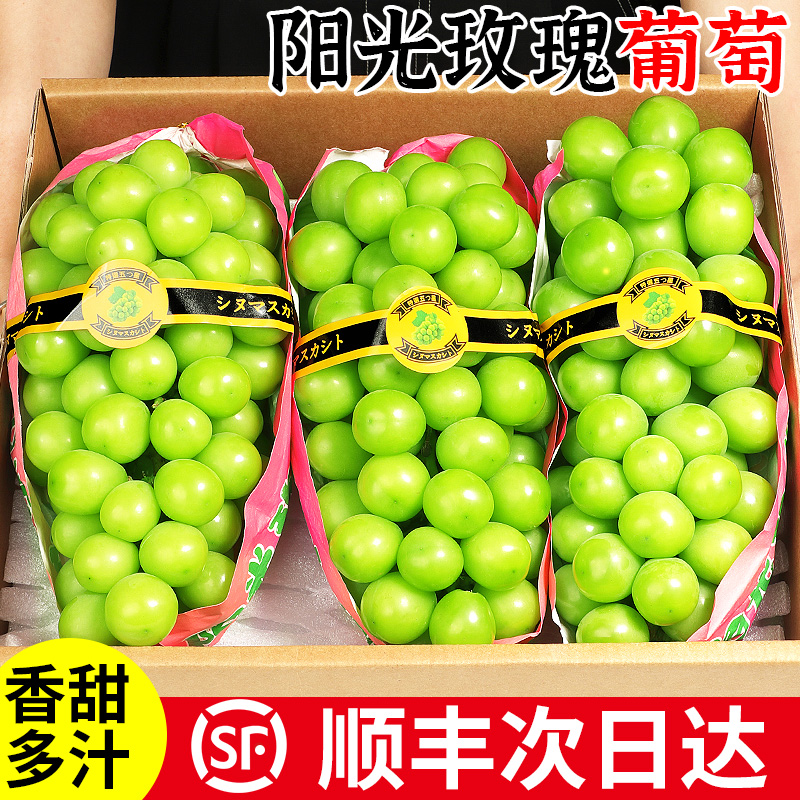 【顺丰送上门】阳光玫瑰葡萄净重1.5-4.5斤新鲜提子青提水果同城送广西壮族自治区