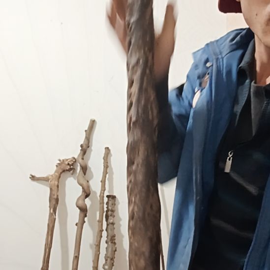 精品木棍直播精品