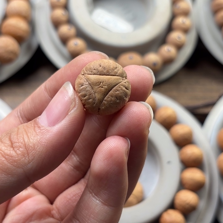 凤眼菩提手串18mm龙眼单颗