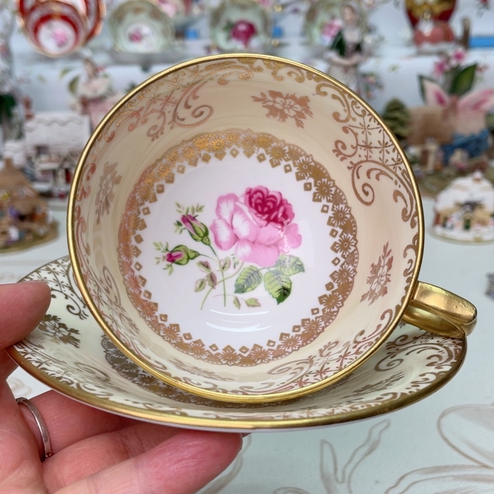 杯维多利亚欧洲中古