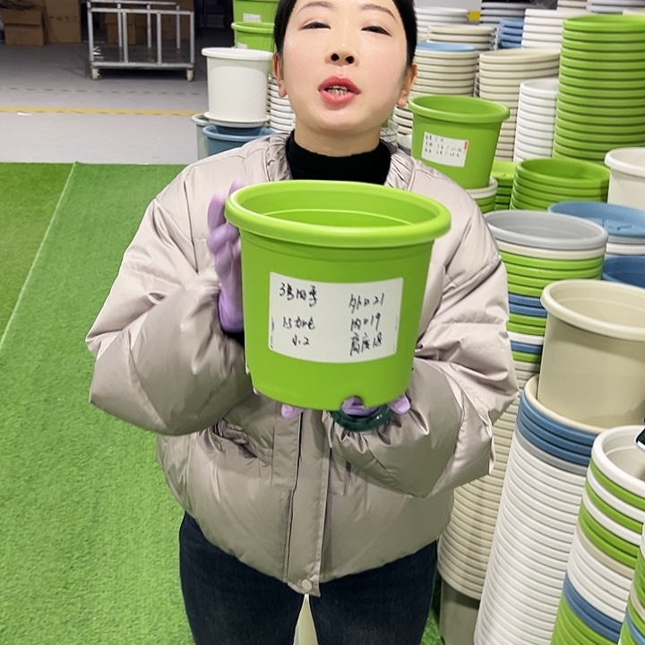 特价3号四季口21高18果绿10只无托