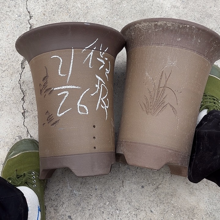 紫泥花盆紫砂花盆