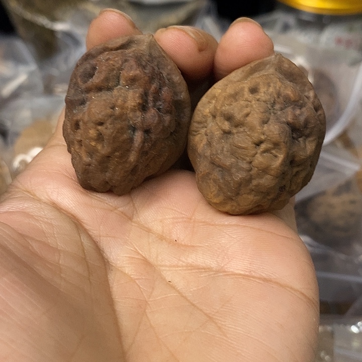核桃云南铁核桃基地17