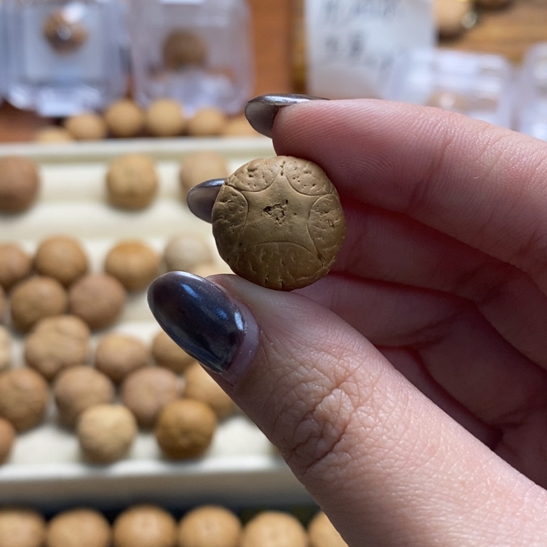 吊坠凤眼菩提五星