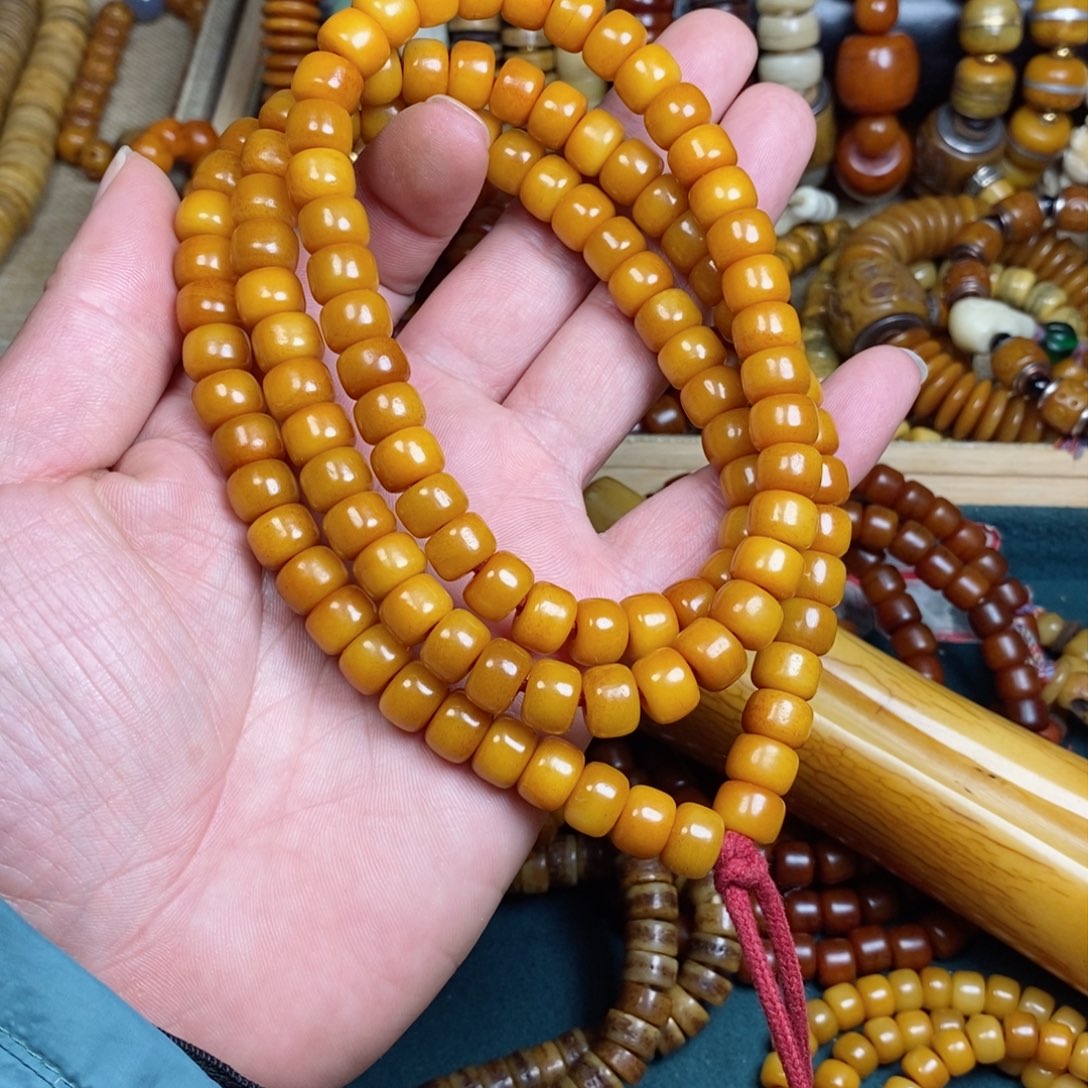 牛骨其他10mmqqqqqq q q