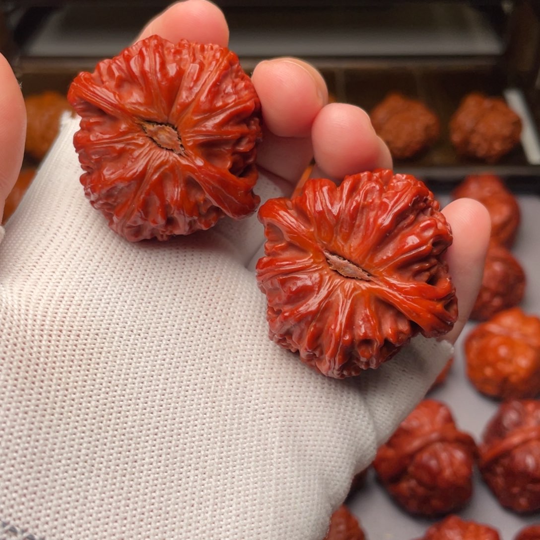 文玩核桃把件小**兜白狮子42