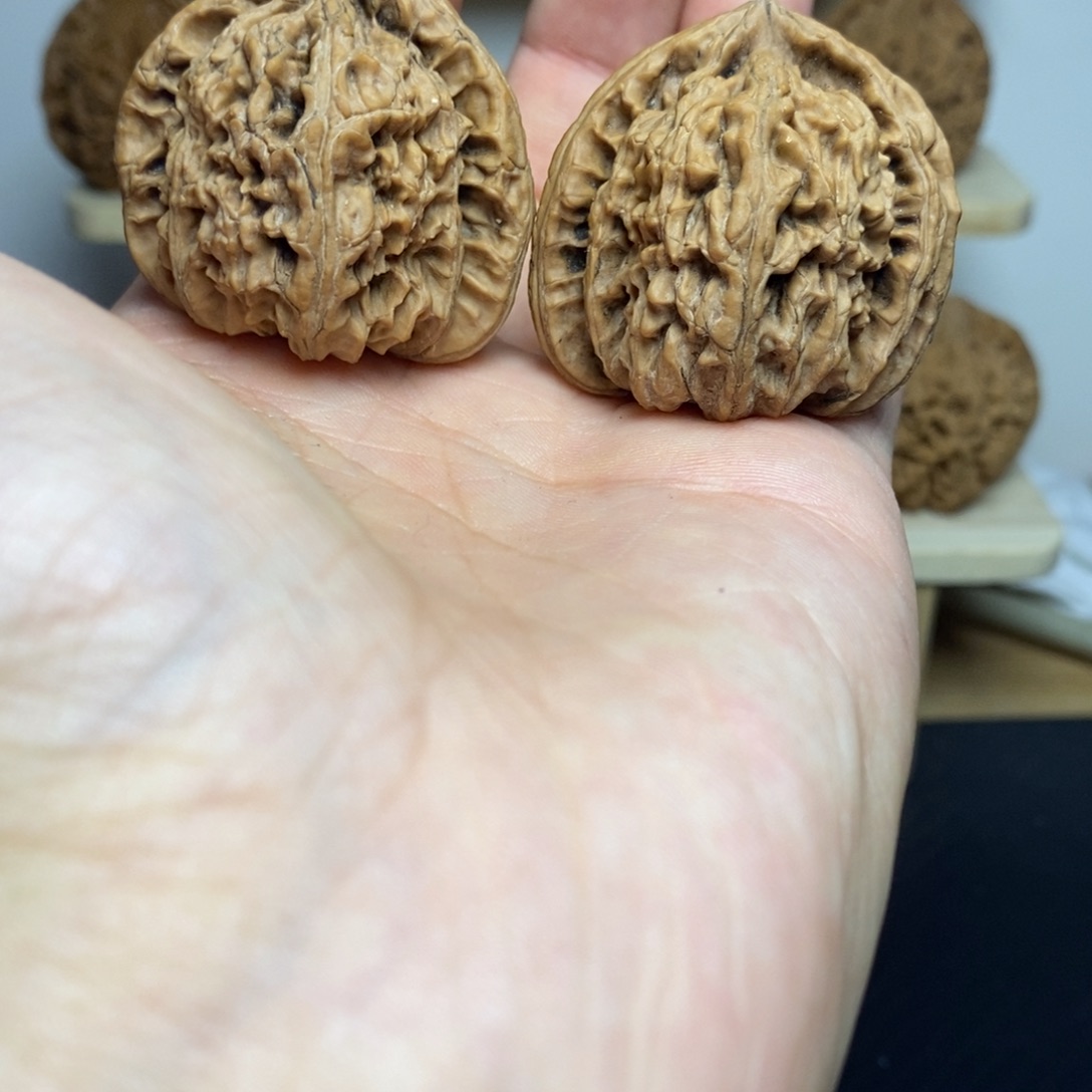 大叶紫檀（黑酸枝木类）39三角白