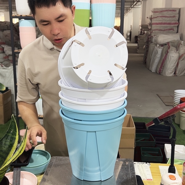 青山口24高24混色5个带托