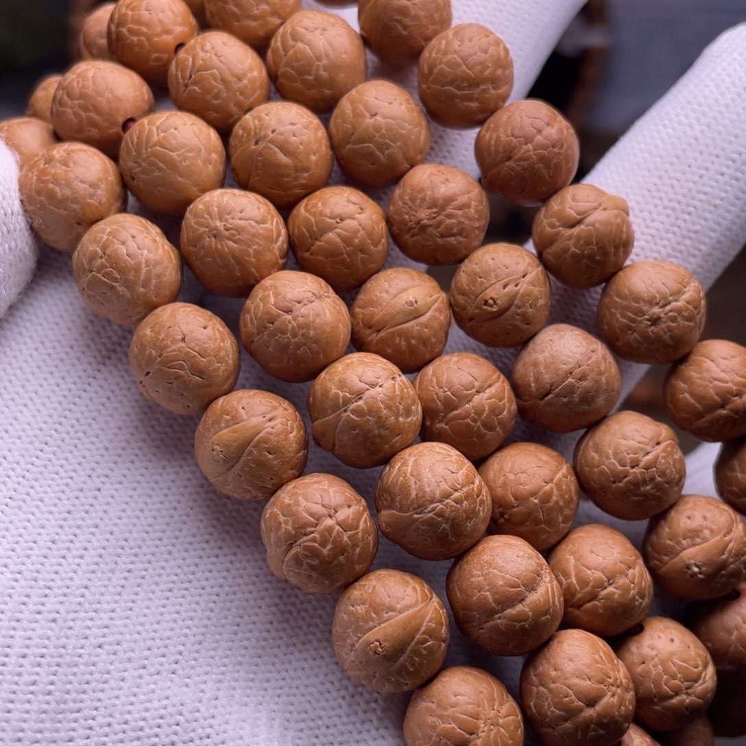 凤眼菩提吊坠菩提303