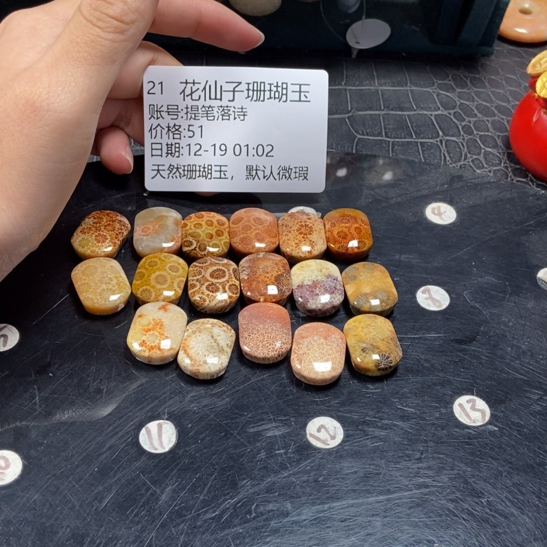 提***诗硅化珊瑚（珊瑚玉）未镶嵌珠宝半成品21