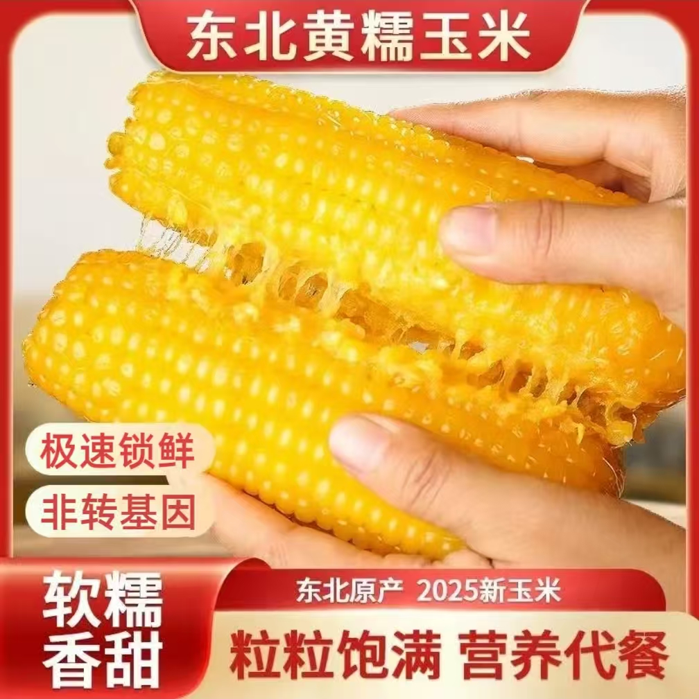 《试吃2根》东北黑土地小黄粘玉米 香甜粘糯 9根装