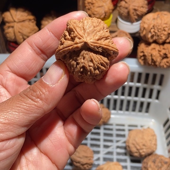 八***¥核桃白狮子三棱尺寸39全品