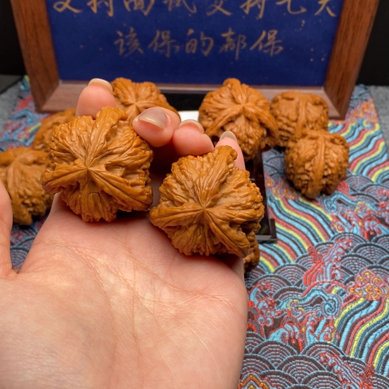 【闪购商品】大***了白狮