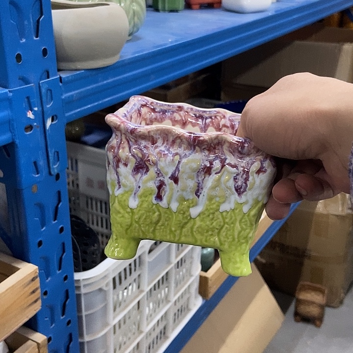 花盆单场满9.9发货11×9.5绿