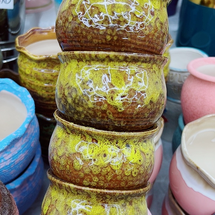 多肉植物陶瓷花盆