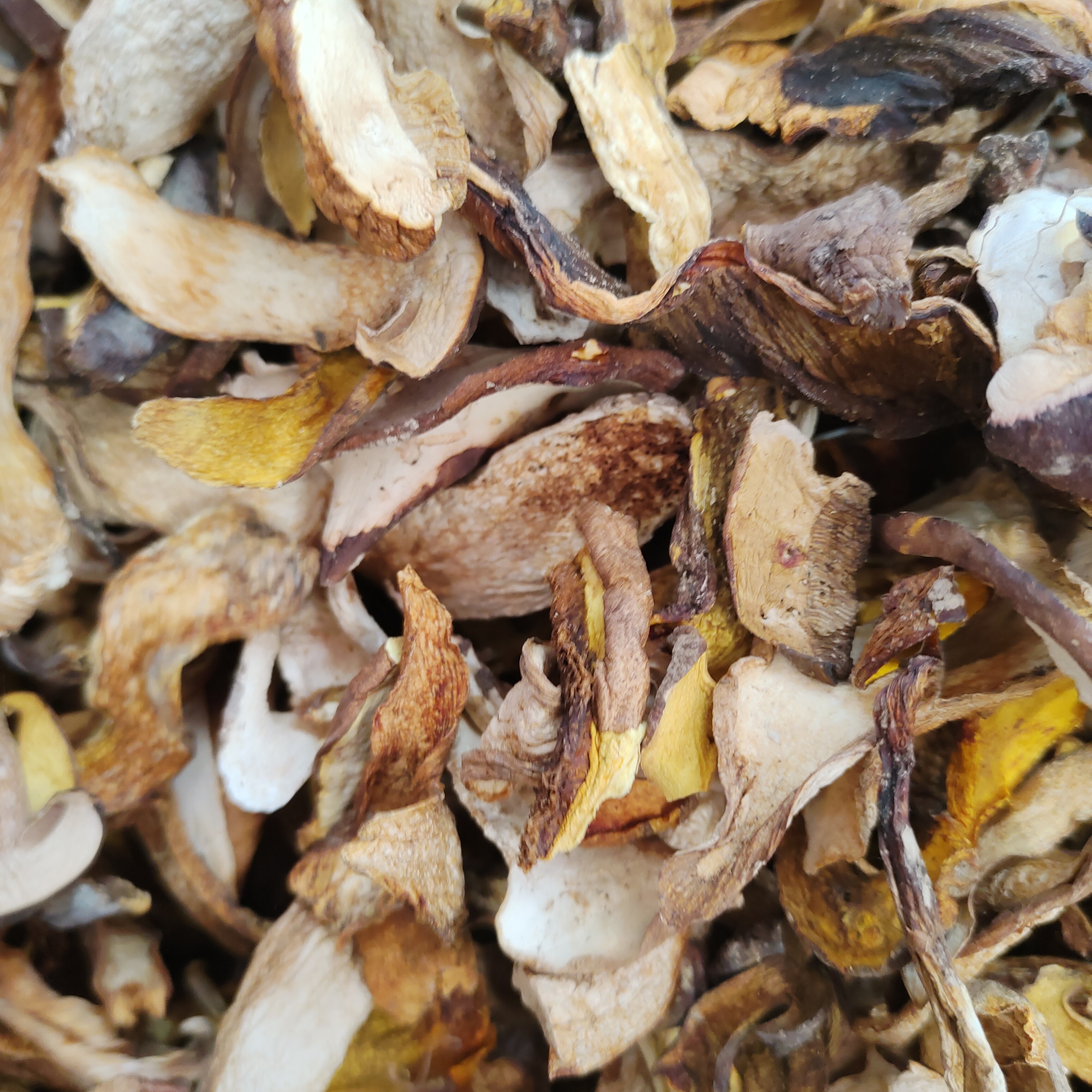 【村民代卖】大巴山黄牛肝菌片