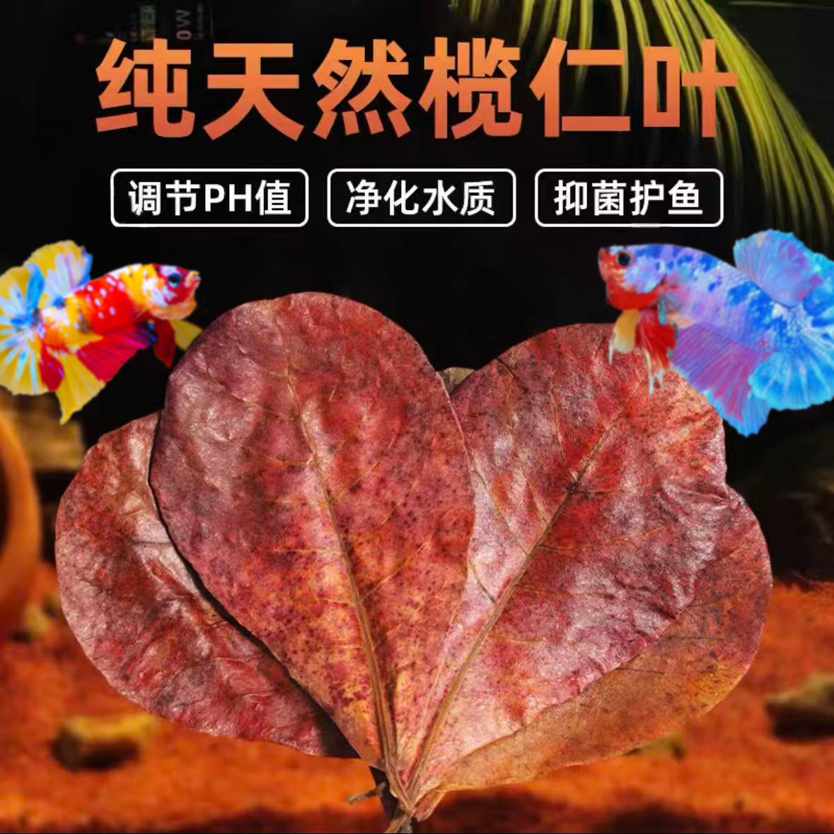 鱼缸榄仁叶降酸调节Ph值水族懒人叶泰国将军半月斗鱼乌龟稳定水质
