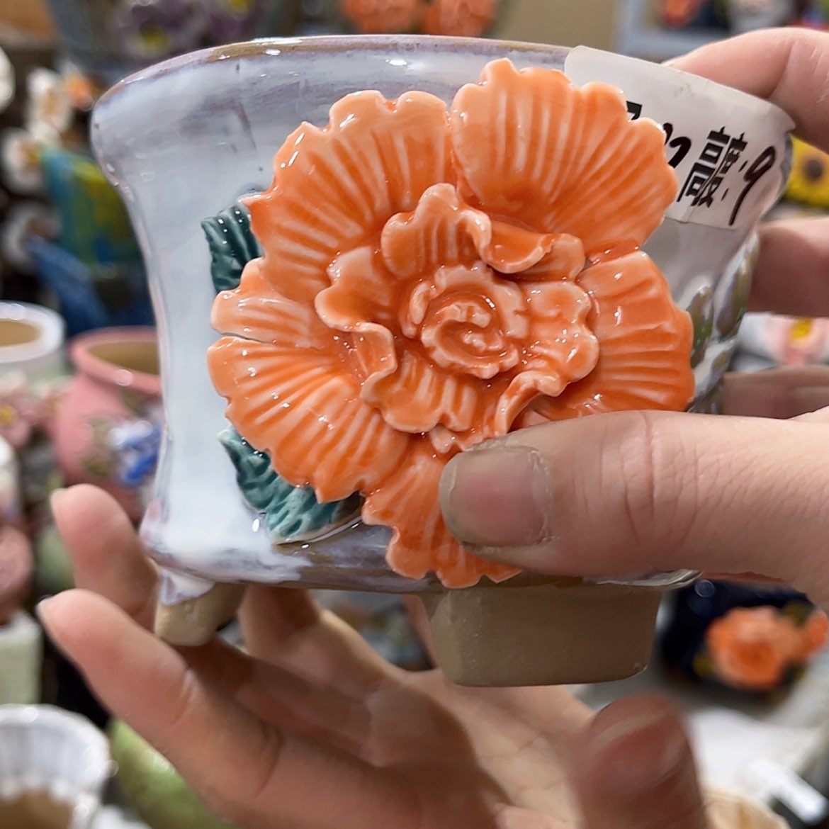 【闪购商品】红陶福利