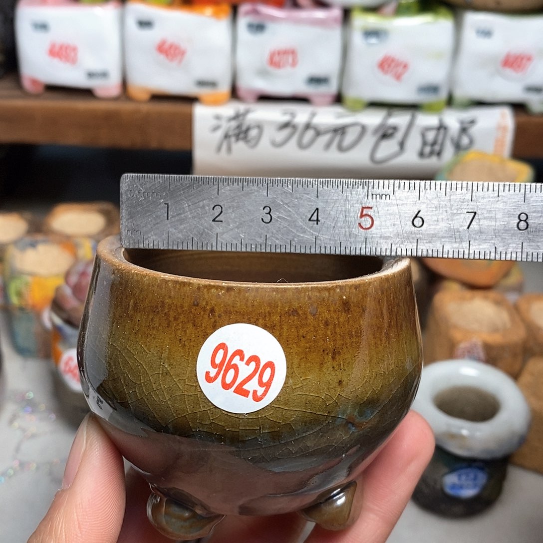 红陶拍5送一个小