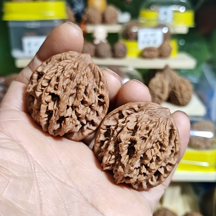 42尺寸，红皮麦穗虎头